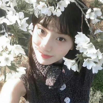 太极旗飘扬